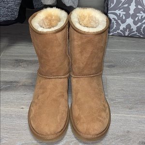 CLASSIC CHESTNUT SHORT BOOT WOMENS UGGS